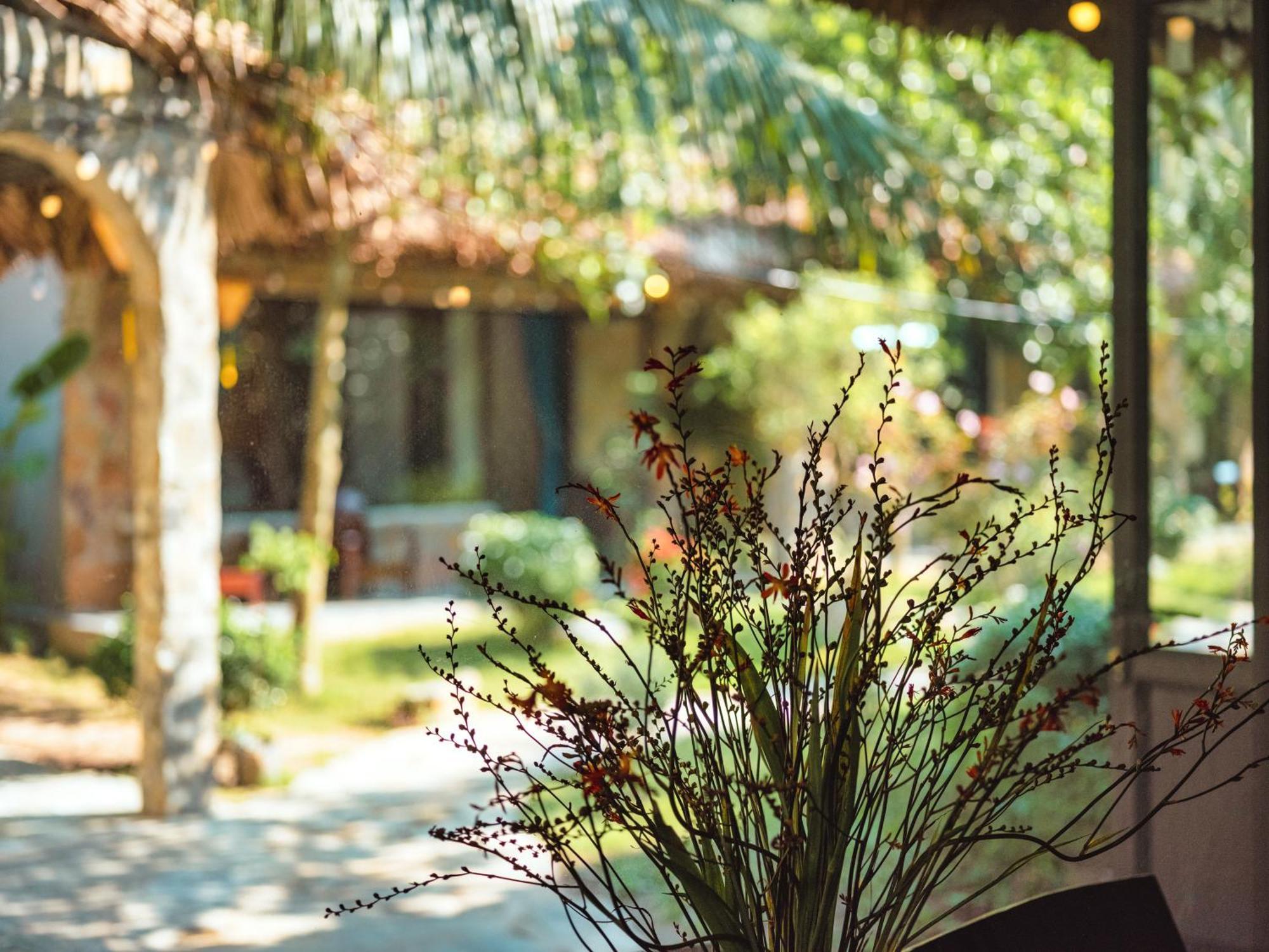 Cozy Beer Garden Homestay ニンビン エクステリア 写真